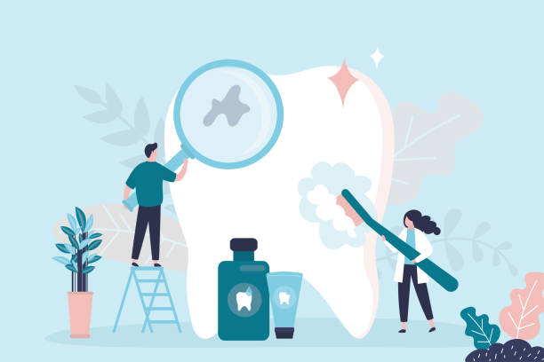 Best Traditional Braces  in Belterra, TX